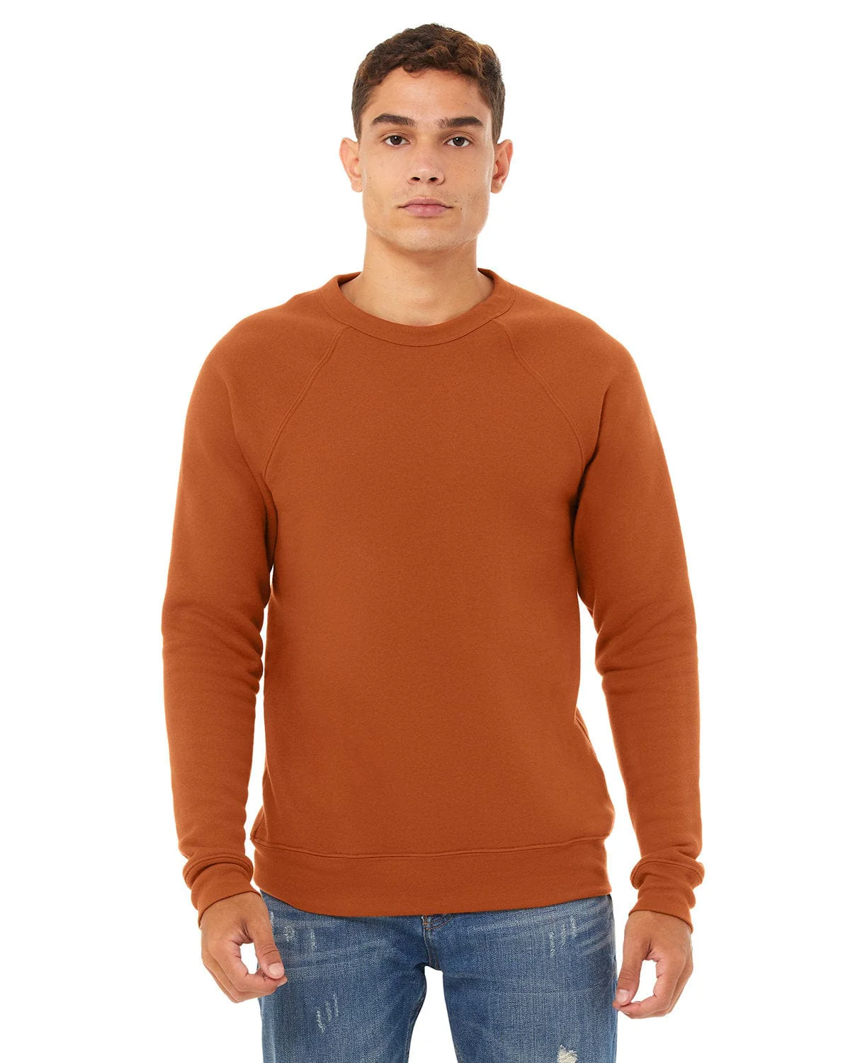 Bella+Canvas 3901 Unisex Sponge Fleece Crewneck Sweatshirt - Image 80